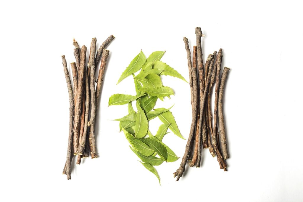 Ayurveda Gewürze als Medizin
